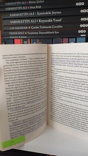 Beden Nietzche Ağladığında