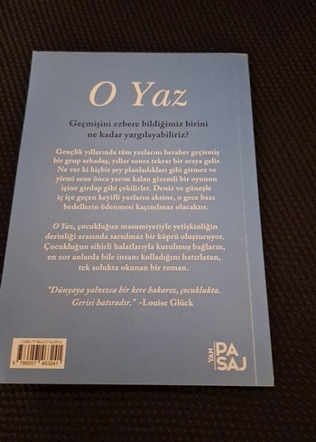 O Yaz - Işıl Şenol - Görsel 2