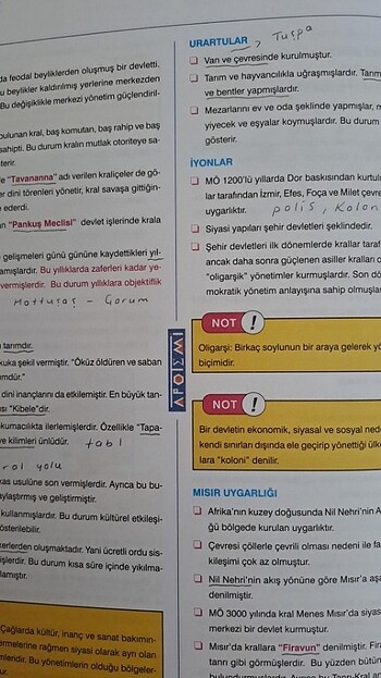 Beden Apotemi Sosyal Bilimler Konu Özeti