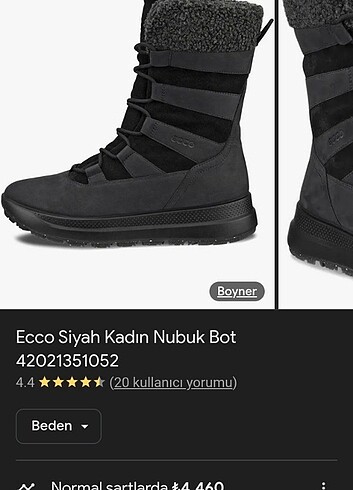 Ecco Ecco kadın bot