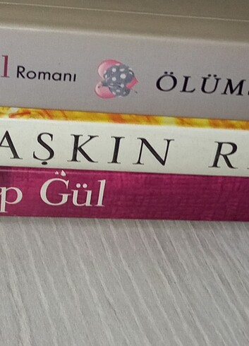 Kayıp Gül Serisi