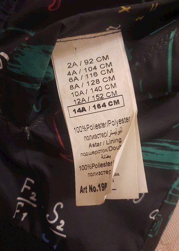 B&G Nebatti marka erkek Çocuk Renkli Baskılı Fermuarlı mont - Görsel 6