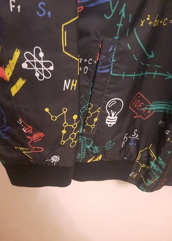 B&G Nebatti marka erkek Çocuk Renkli Baskılı Fermuarlı mont - Görsel 3