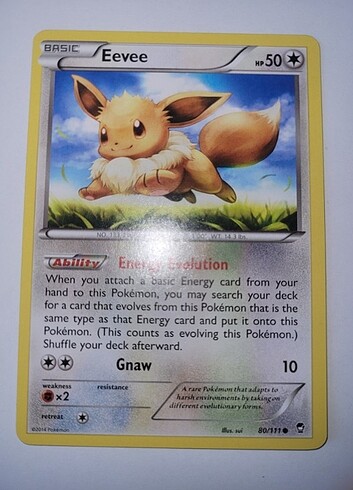 Eevee Kartları