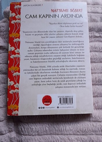 Cam kapının ardında 