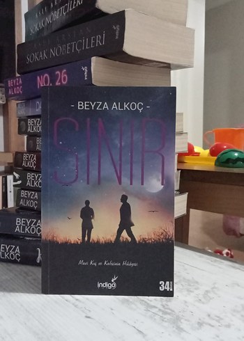 Sınır ve Sınırsız - Beyza Alkoç