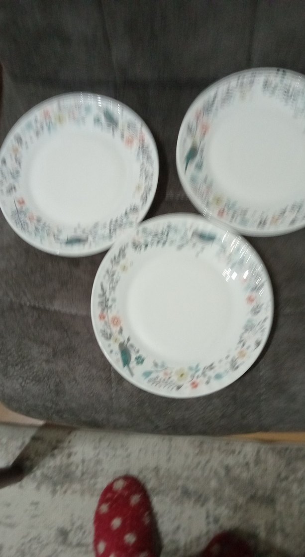 Çiçek ve Kuş Desenli 3 Beyaz Tabak - Görsel 4