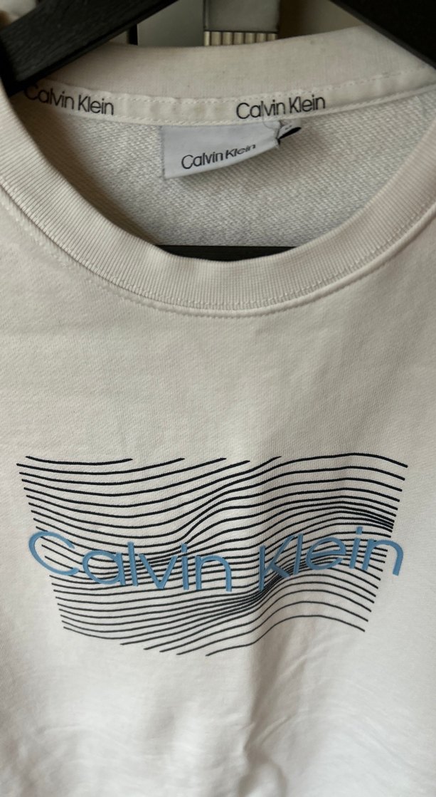 Calvin Klein Erkek Gri Baskılı Sweatshirt - Görsel 2