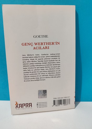 Genç Werther'in Acıları - Goethe - Görsel 2