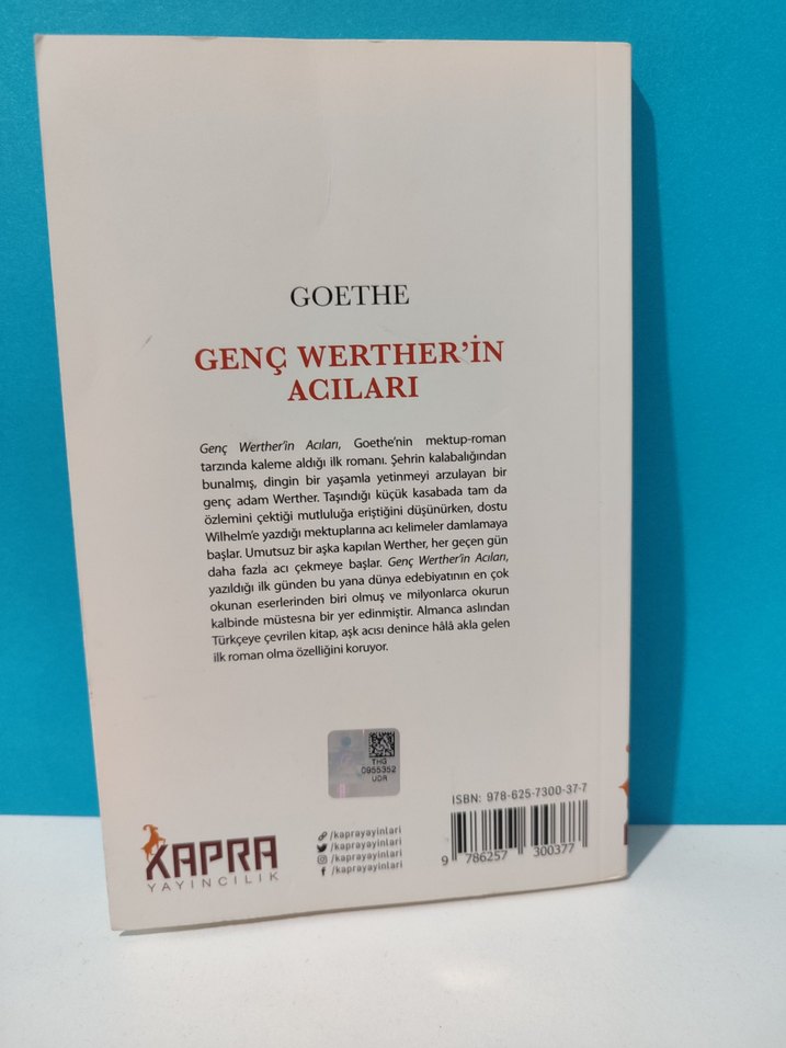 Genç Werther'in Acıları - Goethe - Görsel 2