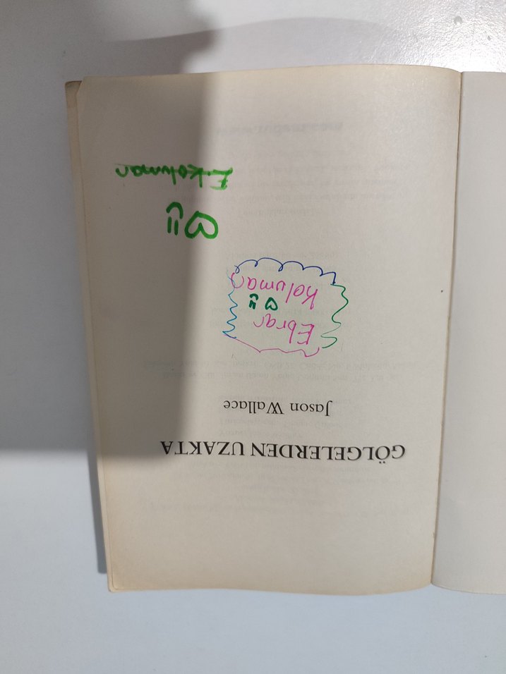 Gölgelerden Uzakta - Son Wallace - Görsel 2