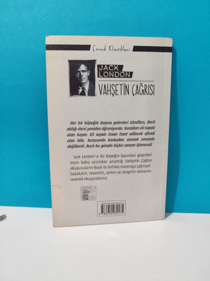 Jack London - Vahşetin Çağrısı Romanı - Görsel 2