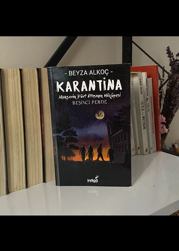 Karantina - Beyza Alkoç - Görsel 5