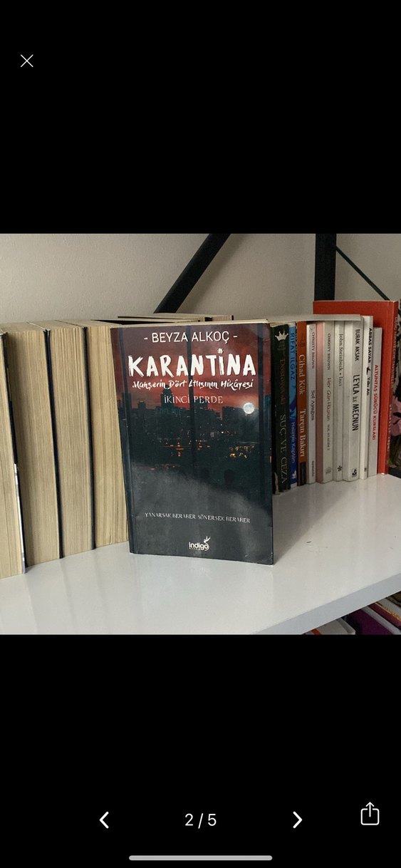 Karantina - Beyza Alkoç - Görsel 2