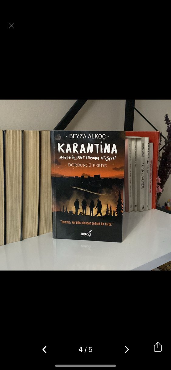 Karantina - Beyza Alkoç - Görsel 4