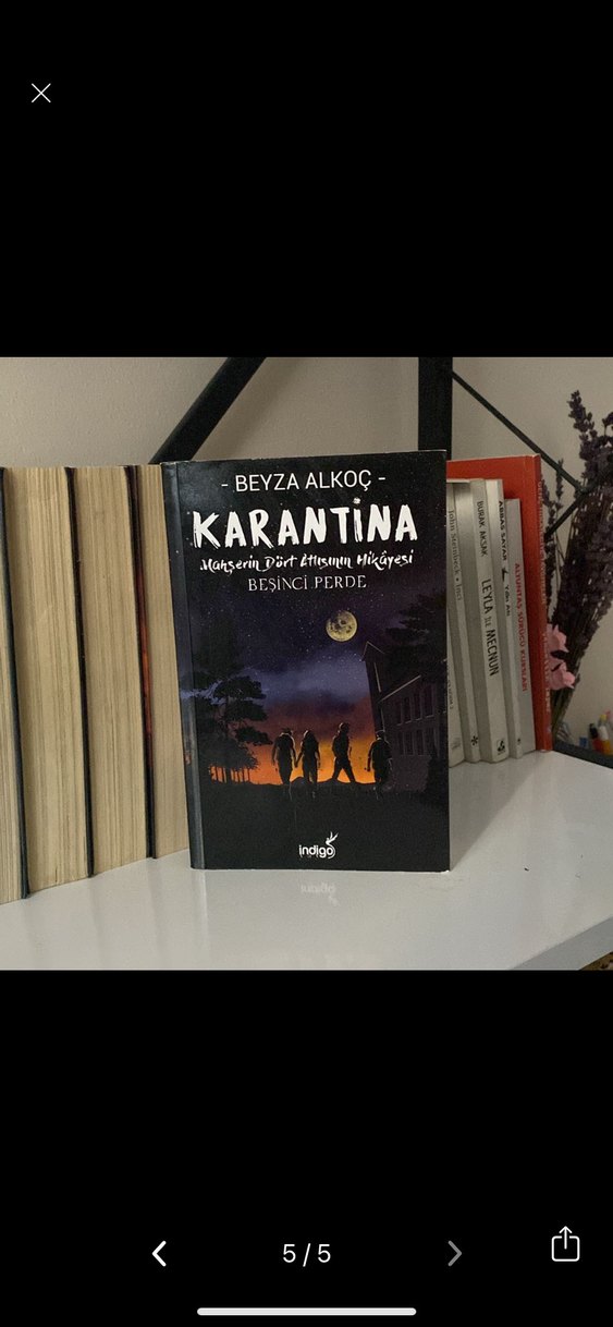 Karantina - Beyza Alkoç - Görsel 5