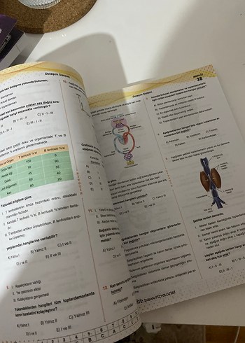AYT Biyoloji Soru Bankası - Görsel 3