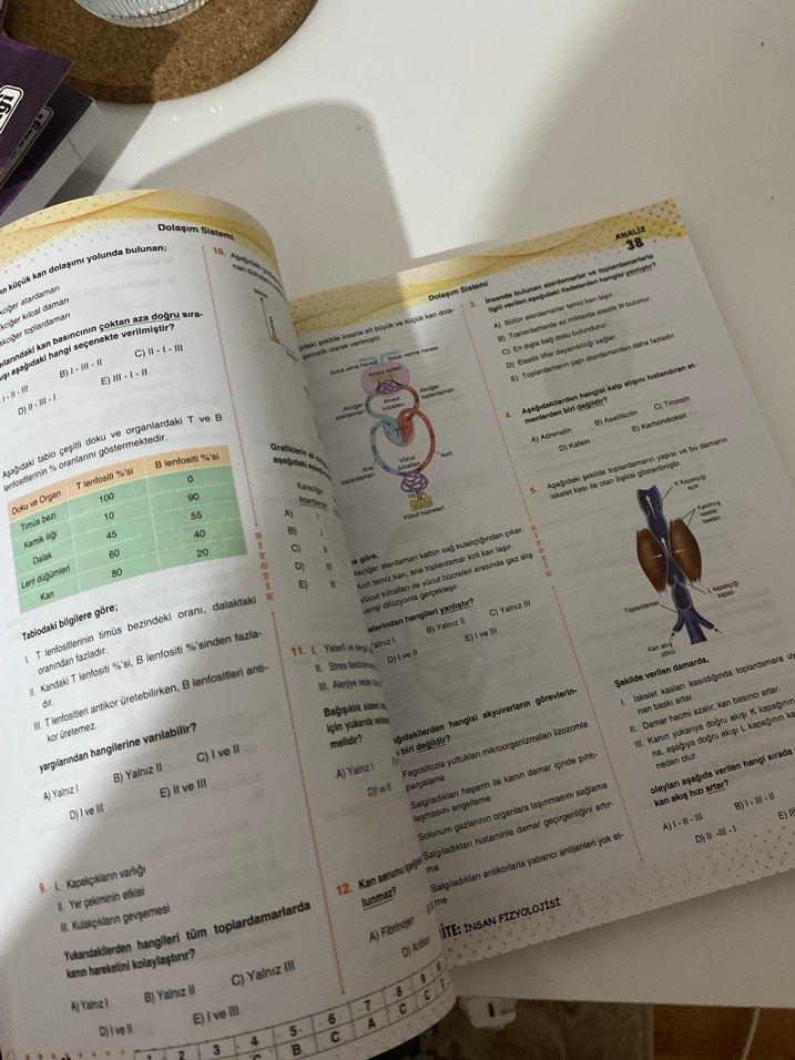 AYT Biyoloji Soru Bankası - Görsel 3