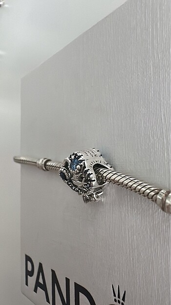  Beden Bulut ve kırlangıç pandora charm