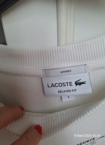 universal Beden Lacoste swearshirt