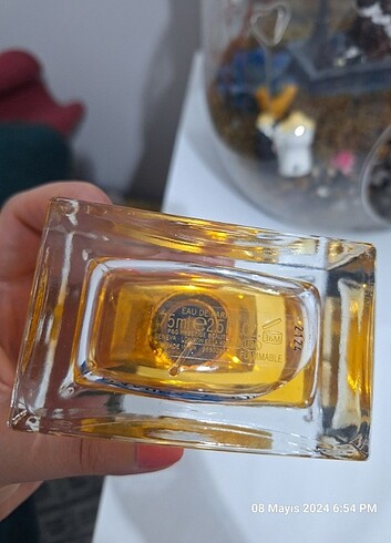 Dolce & Gabbana D&G orjinal parfum