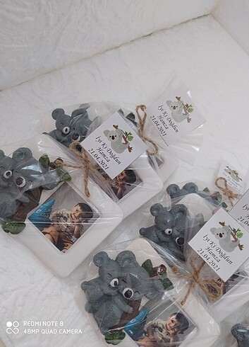 Koala magnet
