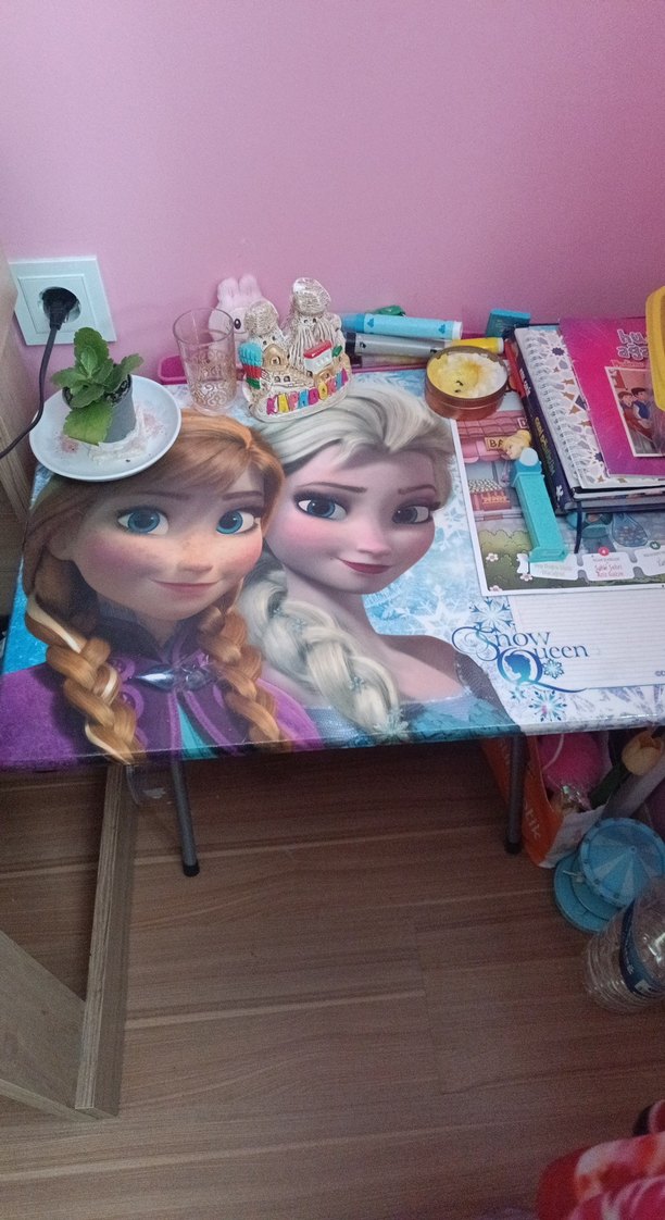 Frozen Temalı Sanat Kitabı Seti - Görsel 2