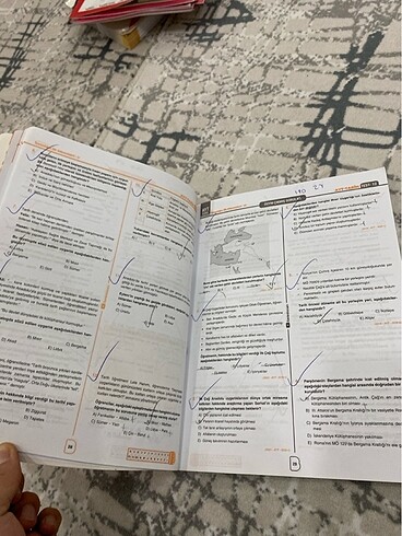 Beden Ayt tarih ikinci el kitap