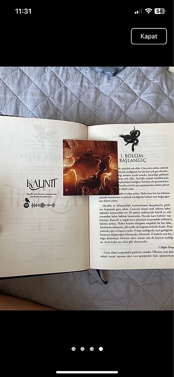  Beden Renk Kalıntı 1