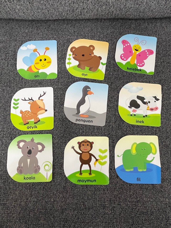 Renkli Hayvan Kartları Eğitici - Görsel 2