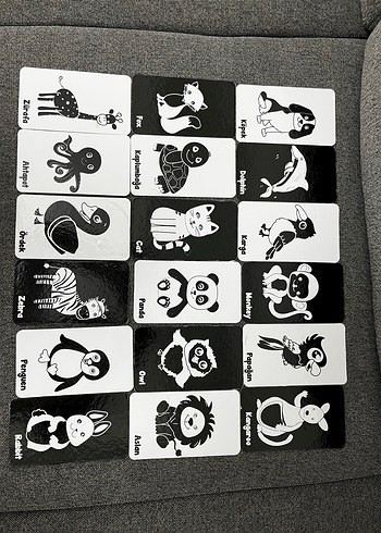 Siyah Beyaz Eğitim Kartları - Görsel 4