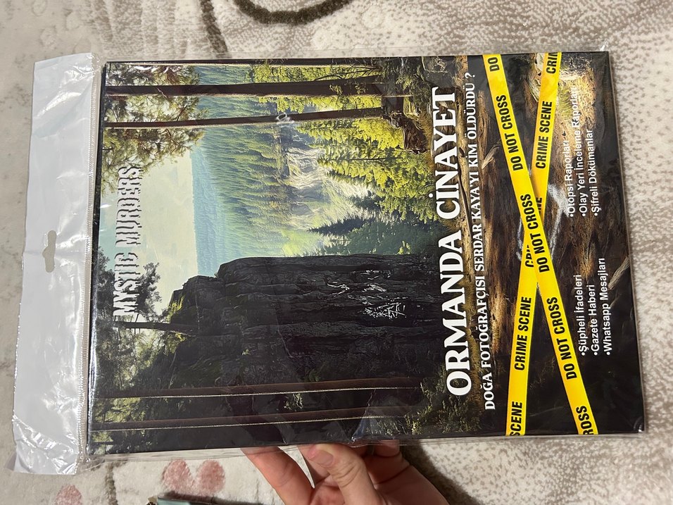 Uçakta Cinayet - Ünlü İş Adamının Ölümü - Görsel 2