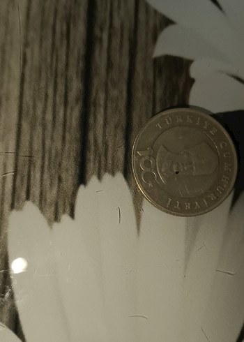  Beden demir 5 tl/ arkasında 100 yıl var
