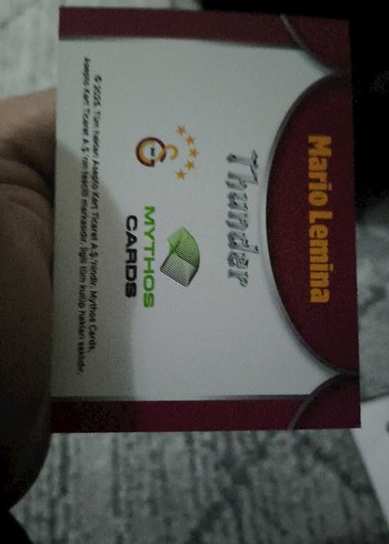 Mario Lemina Futbol Kartı - Görsel 2