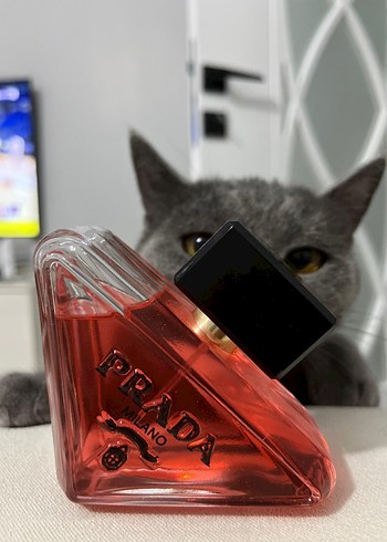 Prada Milano Kadın Parfümü
