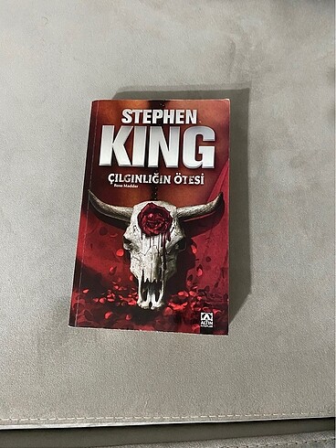 Stephen King Çılgınlığın Ötesi