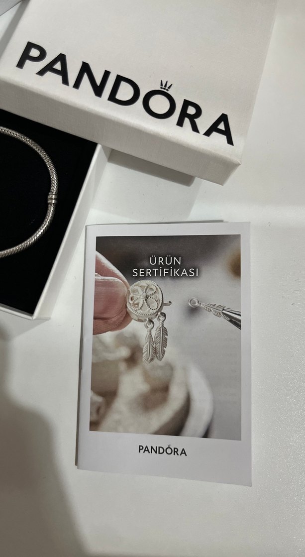 Gri Zincir Detaylı Pandora Bileklik - Görsel 4