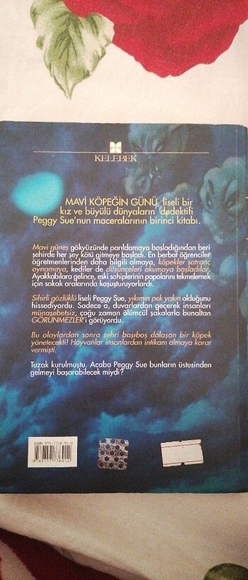  Peggy Sue ve hayaletler 