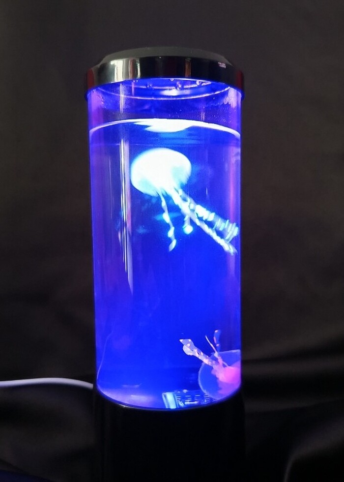 LED Deniz Anası Lambası, 7 renk Masa Dekoru - Görsel 4