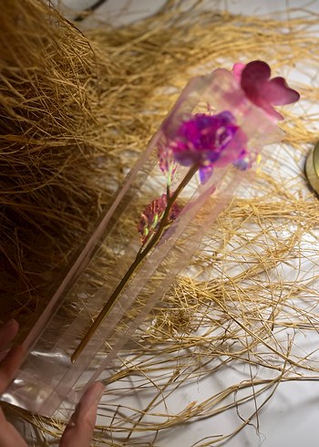 Sonsuzluk gülü - Görsel 3