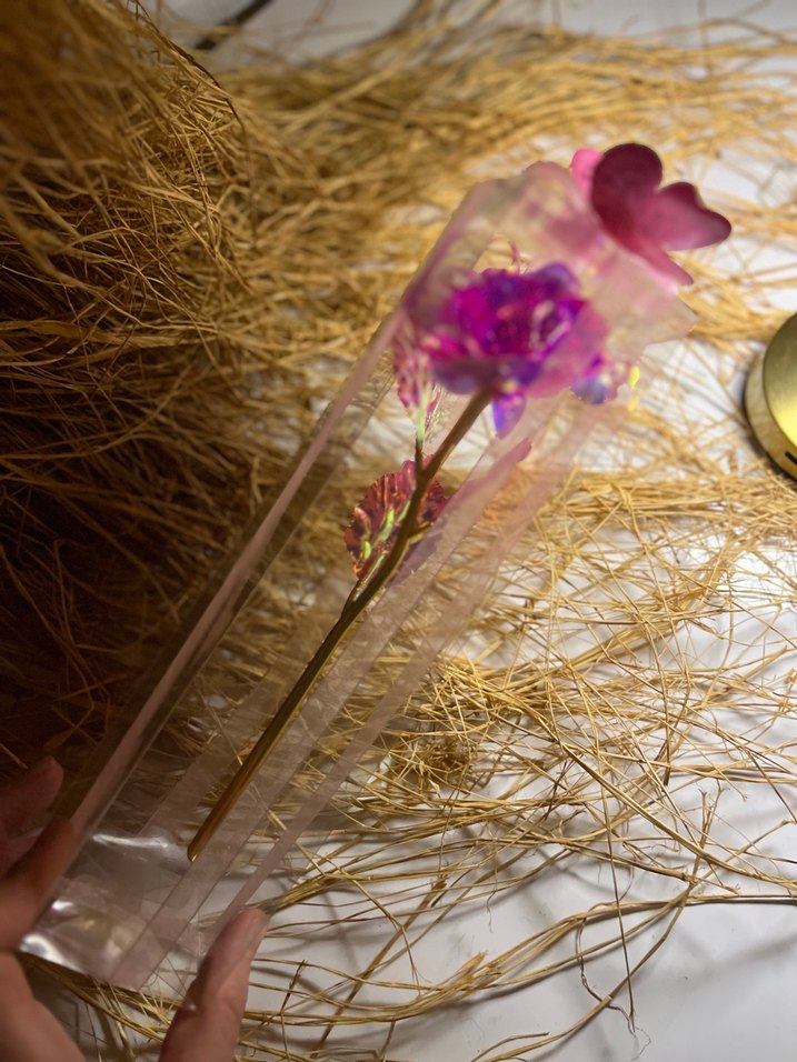 Sonsuzluk gülü - Görsel 3