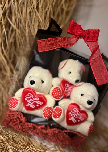 Kırmızı Kalpli Sevimli Beyaz Peluş Ayıcıklar - Görsel 3