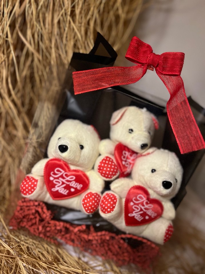 Kırmızı Kalpli Sevimli Beyaz Peluş Ayıcıklar - Görsel 3