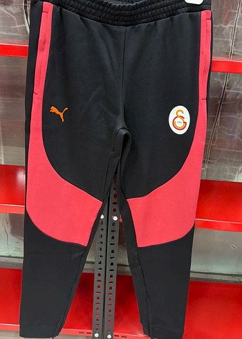 Puma Pumaa