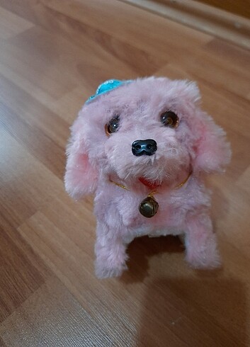 Pelus köpek 