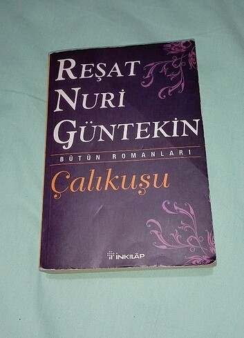 #çalıkuşu