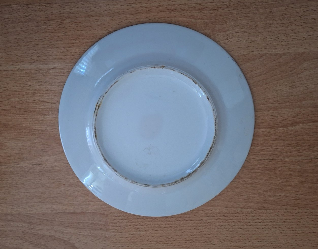 El Boyaması Porselen Tabak - Görsel 5