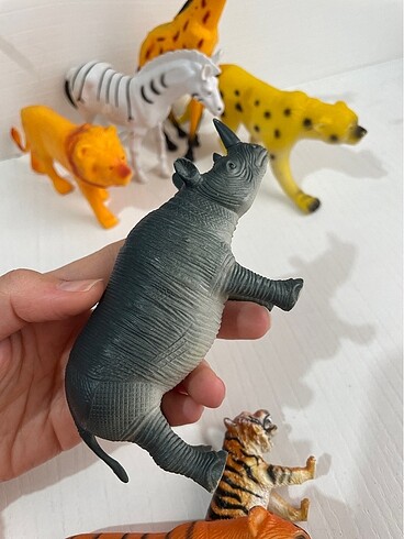 Hayvanlar alemi - Görsel 5