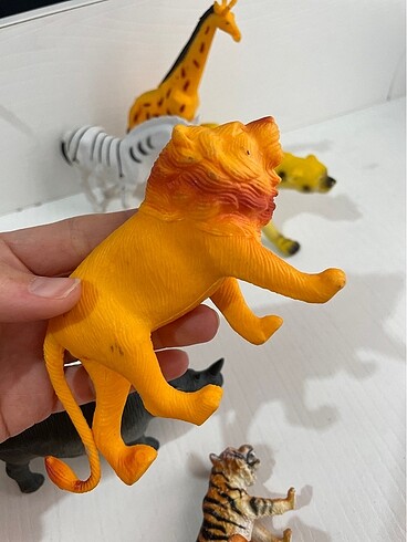 Hayvanlar alemi - Görsel 6