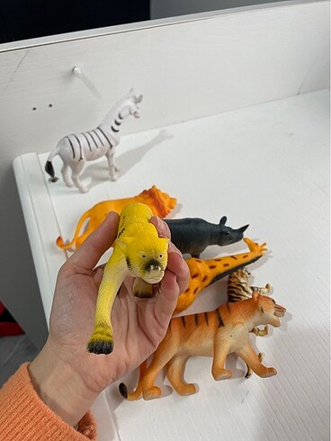 Hayvanlar alemi - Görsel 7